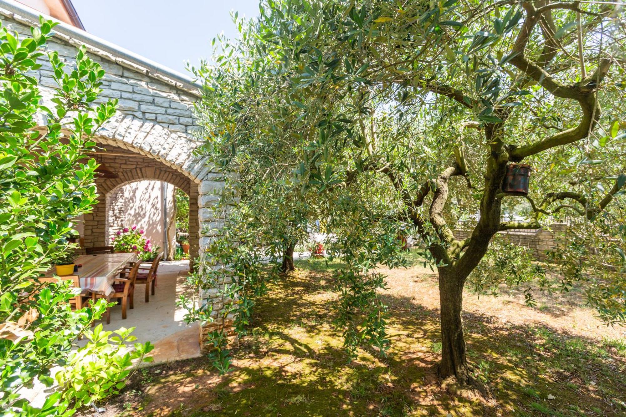 Anica Stinjan Apartment
